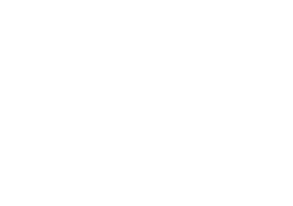 Aríete Digital